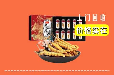 信阳市罗山回收冬虫夏草