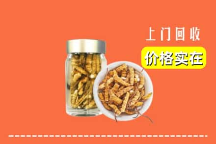 信阳市罗山回收散虫草