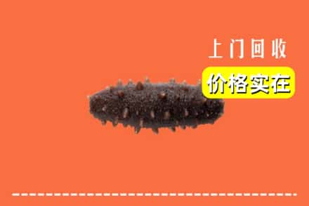 信阳市罗山回收海参