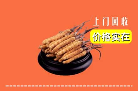 信阳市罗山回收冬虫夏草